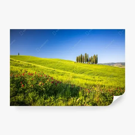 Papier peint évasion Toscane: collines verdoyantes et cyprès – Wallnifity®
