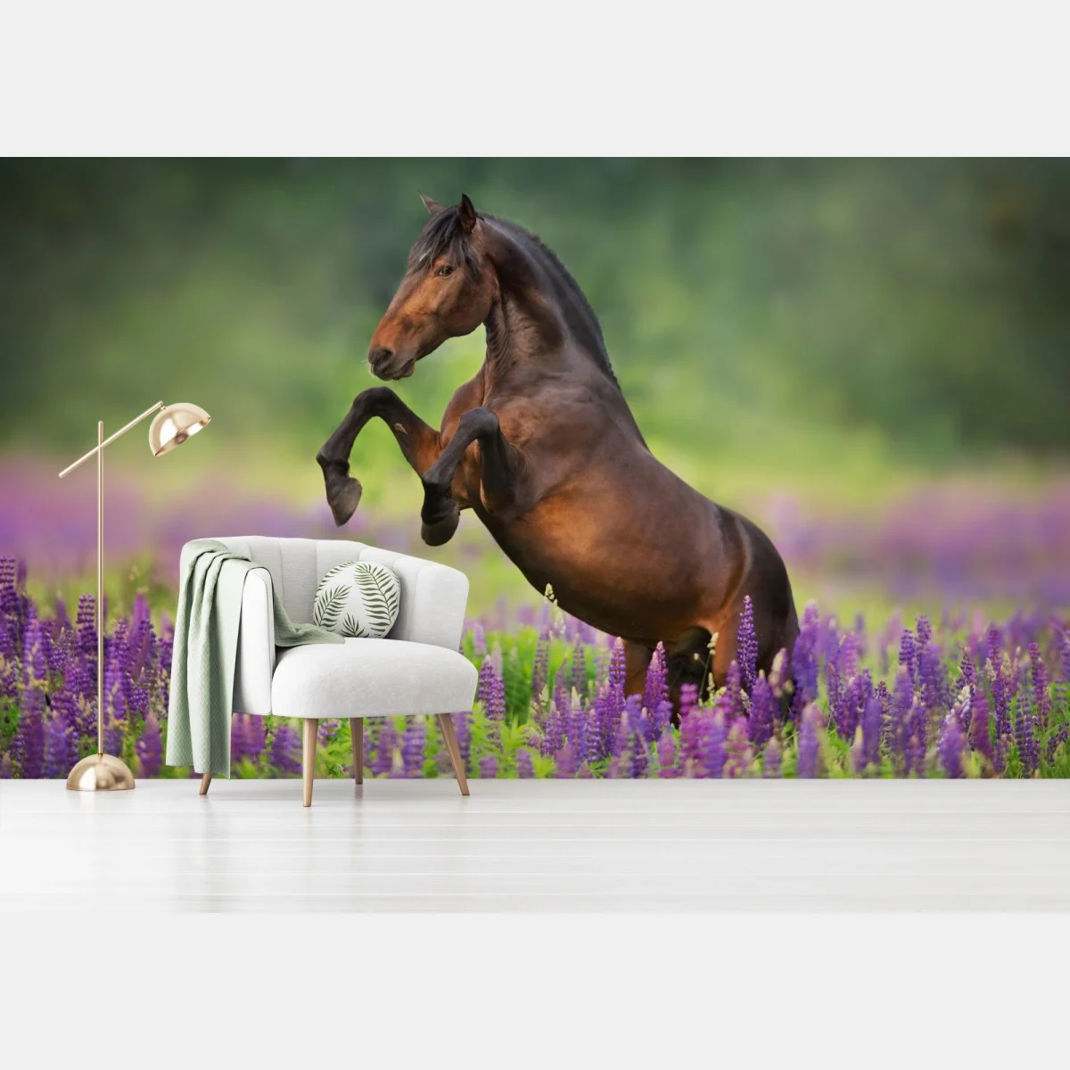Papier peint étalon cabré dans un champ de lupins – Wallnifity® Papier peint étalon cabré dans un champ de lupins – Wallnifity®