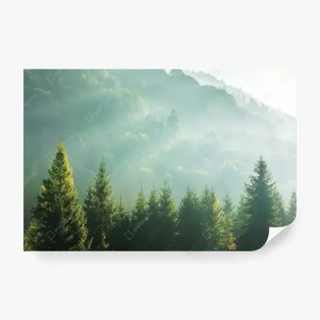 Papier peint brume matinale sur sapins – Wallnifity®
