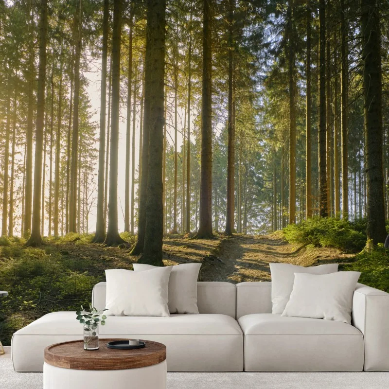Forêts – Wallnifity®