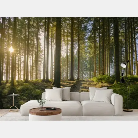 Papier peint sentier forestier baigné de lumière dorée – Wallnifity®