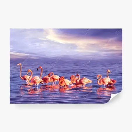 Papier peint flamants roses au crépuscule pourpre – Wallnifity®