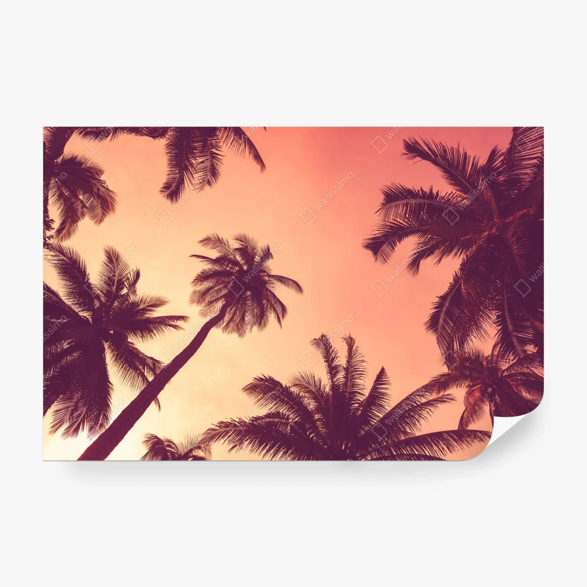 Papier peint paradis tropical au crépuscule – Wallnifity®