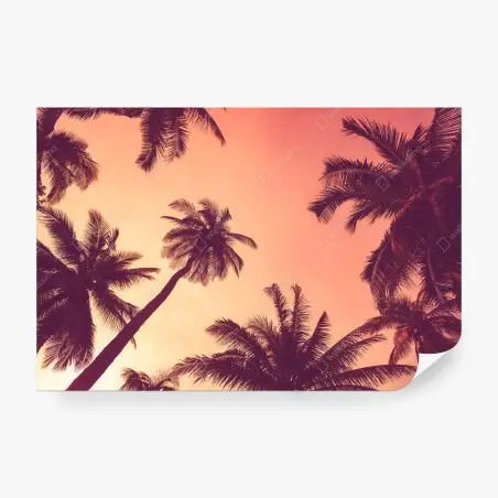 Papier peint paradis tropical au crépuscule – Wallnifity®