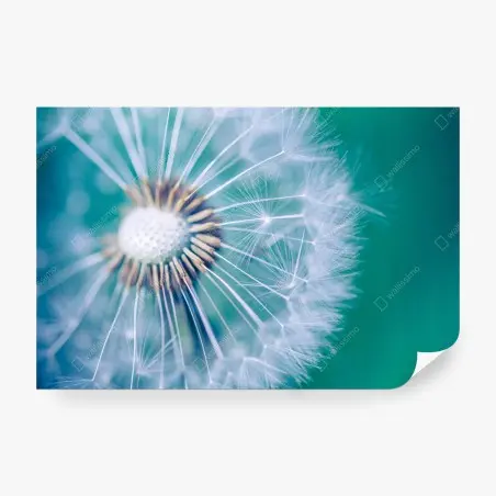 Papier peint souffle de pissenlit en macro – Wallnifity®