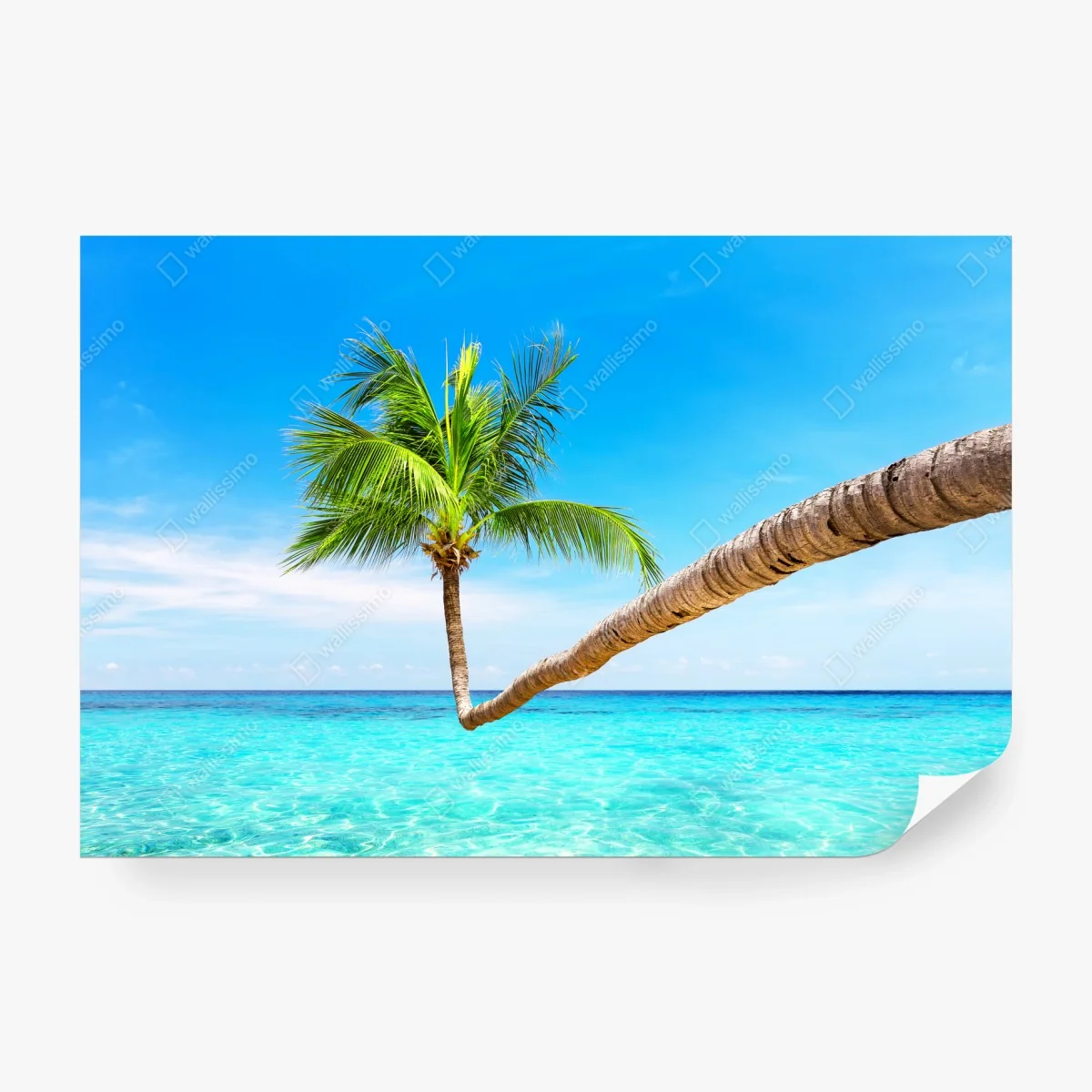 Papier peint paradis tropical à Punta Cana – Wallnifity®