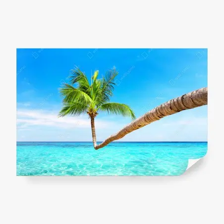 Papier peint paradis tropical à Punta Cana – Wallnifity®