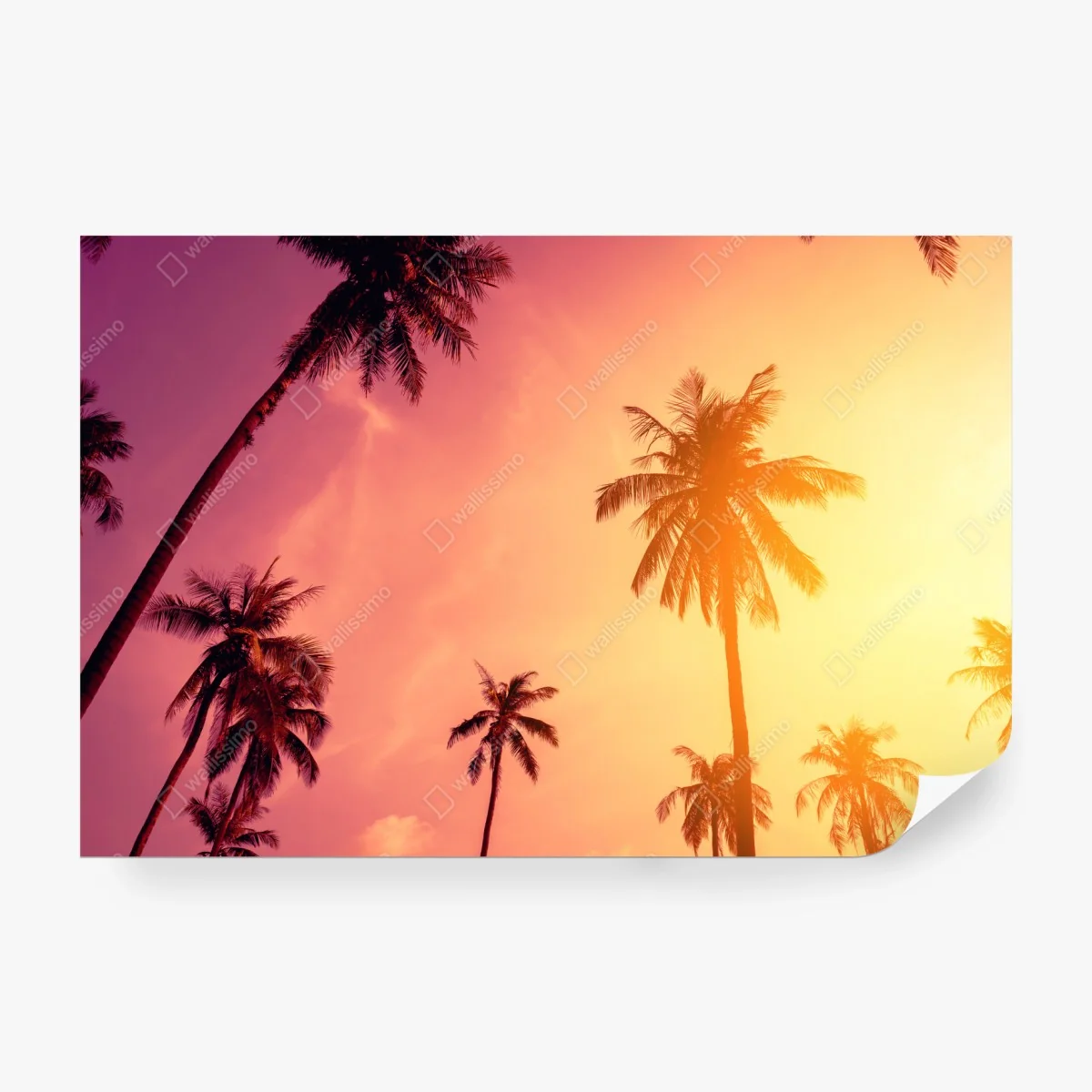 Papier peint paradis de palmiers au coucher de soleil – Wallnifity®