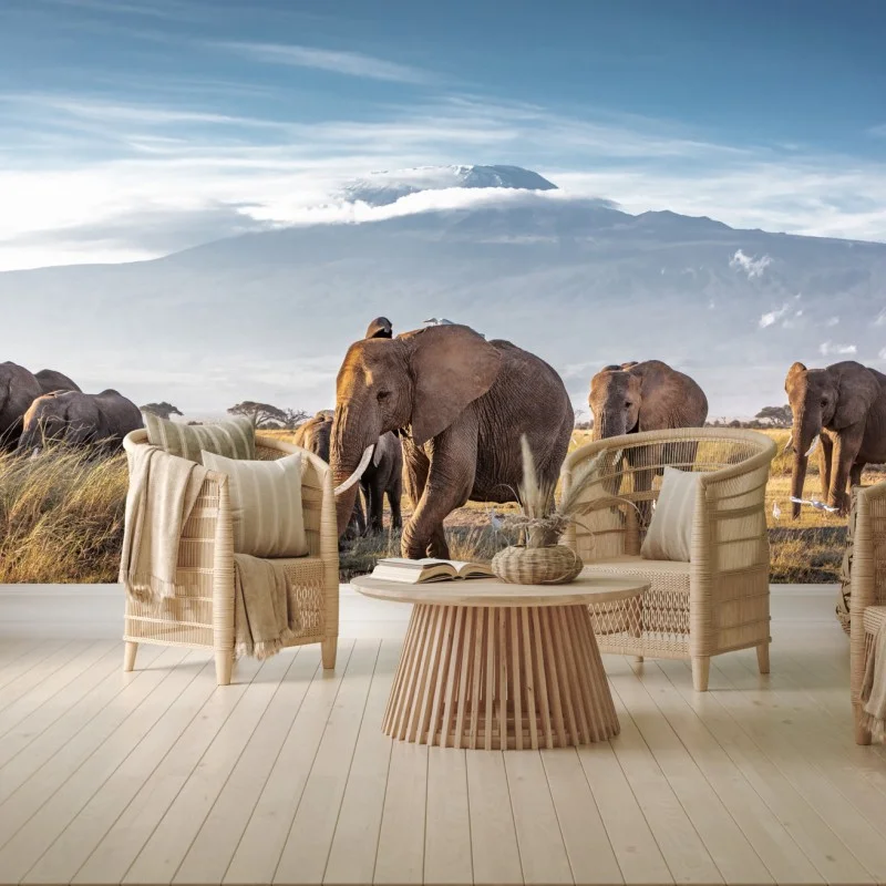 Animaux sauvages – Wallnifity®