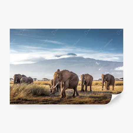 Papier peint troupeau d'éléphants devant le Kilimandjaro – Wallnifity®