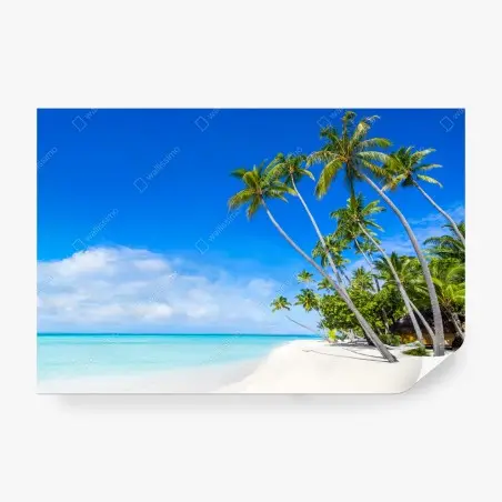 Papier peint paradis tropical au bord de l'eau turquoise – Wallnifity®