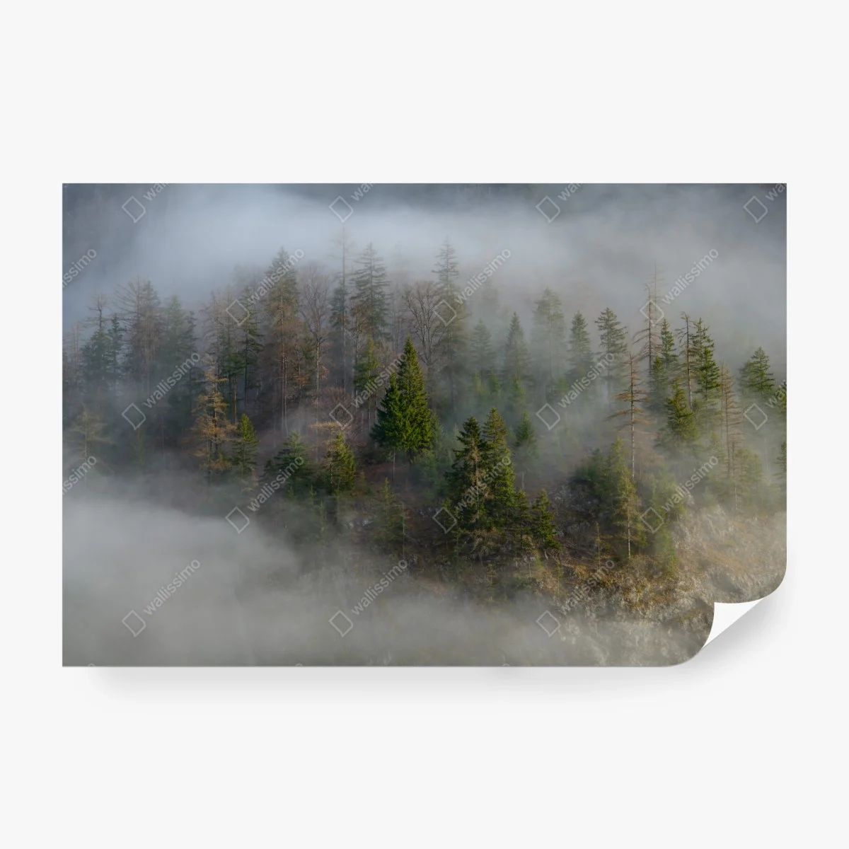 Papier peint forêt brumeuse sur flanc de montagne – Wallnifity® Papier peint forêt brumeuse sur flanc de montagne – Wallnifity®