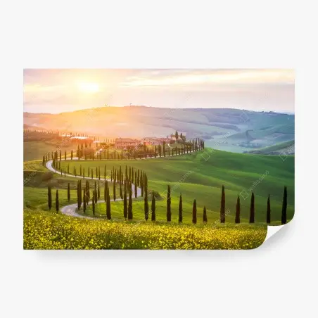 Papier peint route sinueuse de Toscane au coucher de soleil – Wallnifity®