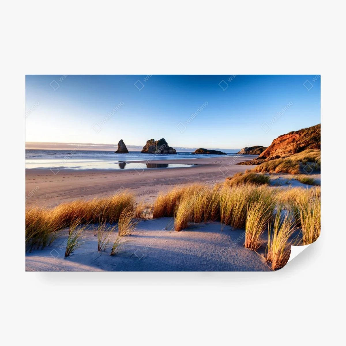 Papier peint vue sereine de Wharariki au bord de la mer – Wallnifity® Papier peint vue sereine de Wharariki au bord de la mer – Wallnifity®