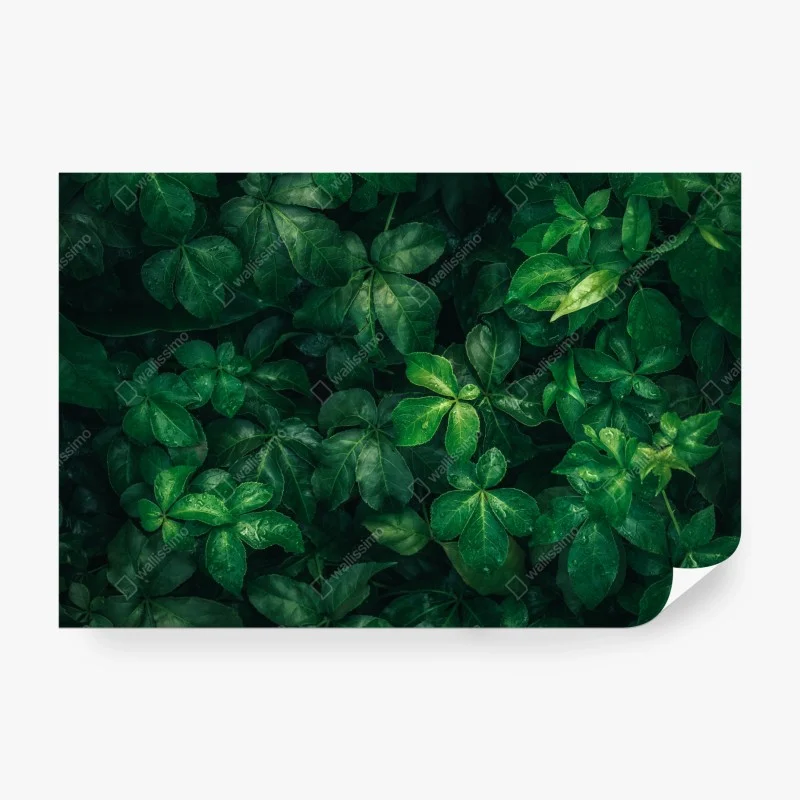 Papier peint canopée verte luxuriante – Wallnifity®