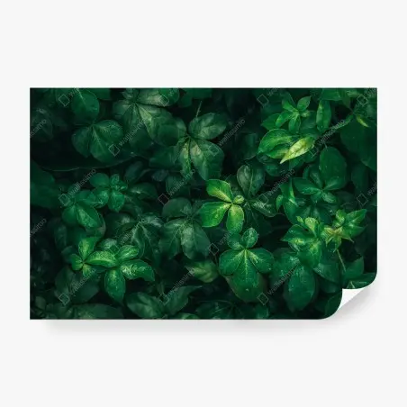 Papier peint canopée verte luxuriante – Wallnifity®