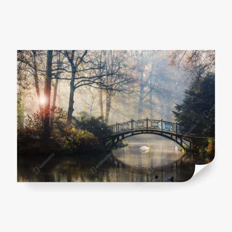 Papier peint pont brumeux et cygne au lever du jour – Wallnifity®