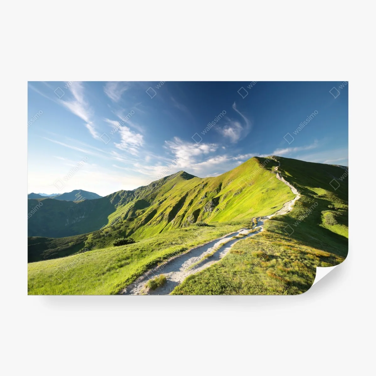 Papier peint sentier de montagne verdoyant – Wallnifity®