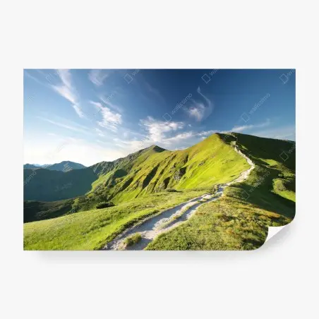 Papier peint sentier de montagne verdoyant – Wallnifity®