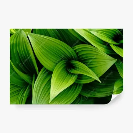 Papier peint feuillage vert luxuriant pour décoration murale – Wallnifity®