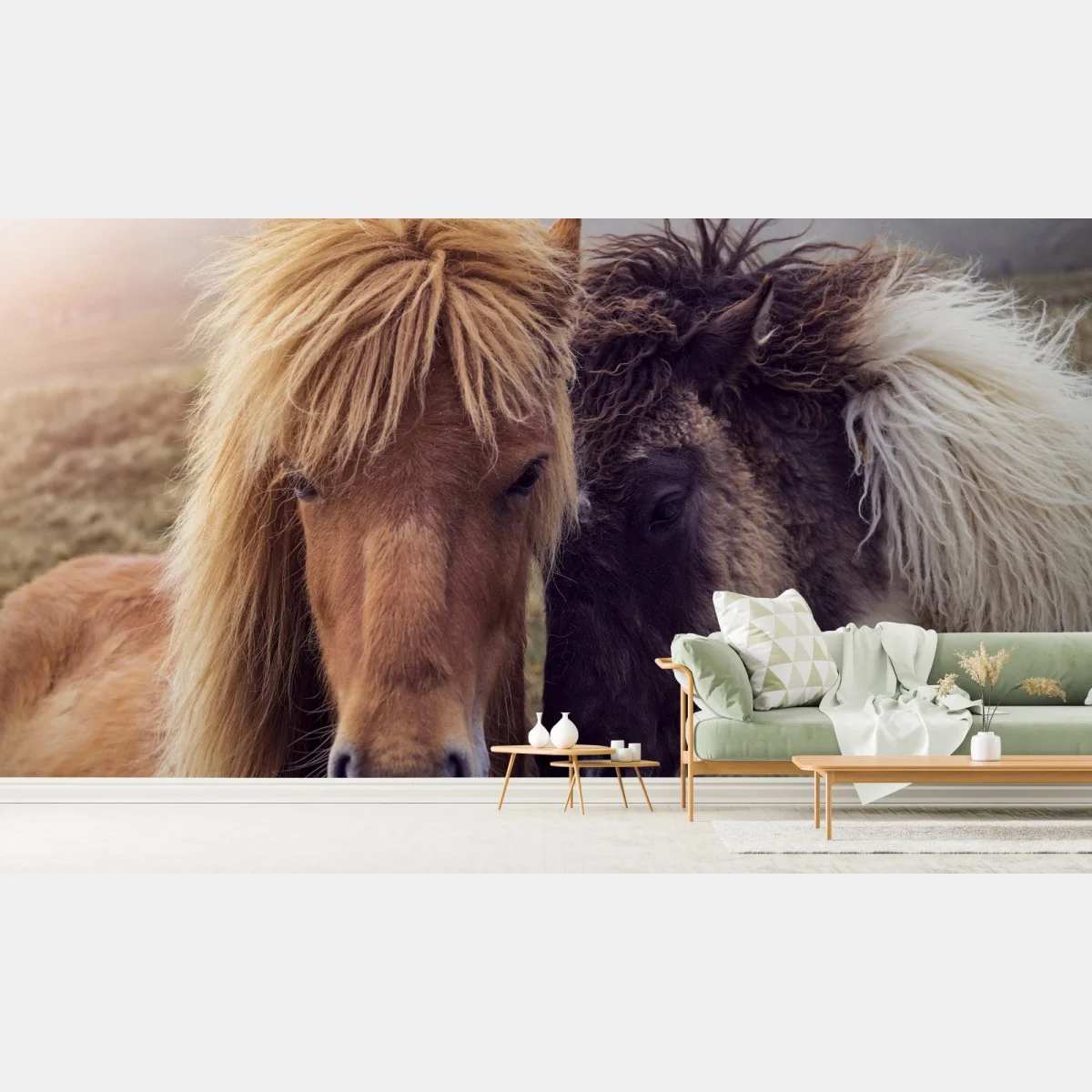 Papier peint chevaux féroïens dans la brume, Îles Féroé – Wallnifity® Papier peint chevaux féroïens dans la brume, Îles Féroé – Wallnifity®