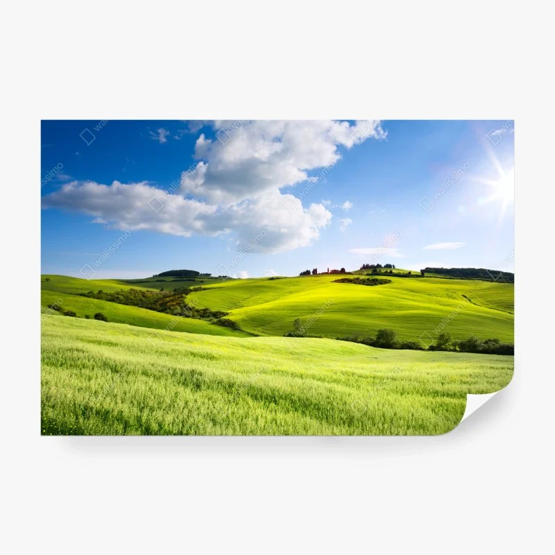 Papier peint douceur des collines de Toscane en lumière dorée – Wallnifity® Papier peint douceur des collines de Toscane en lumière dorée – Wallnifity®
