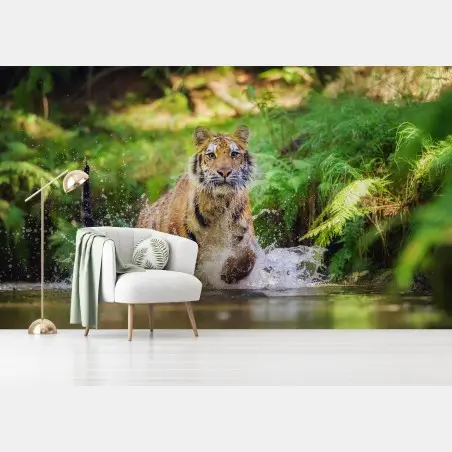 Papier peint tigre en pleine course dans la rivière – Wallnifity®