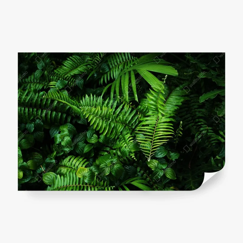Papier peint jardin vertical tropical luxuriant – Wallnifity® Papier peint jardin vertical tropical luxuriant – Wallnifity®