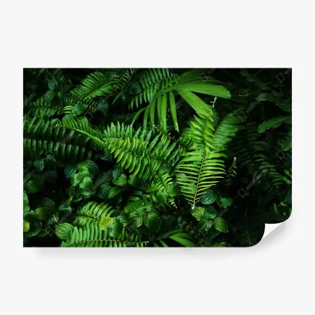 Papier peint jardin vertical tropical luxuriant – Wallnifity®