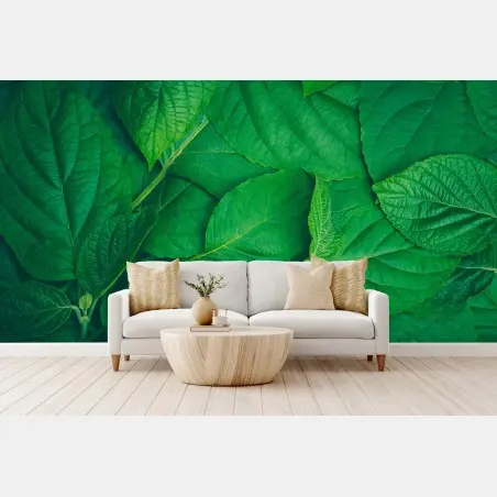 Papier peint feuillage vert luxuriant – Wallnifity®