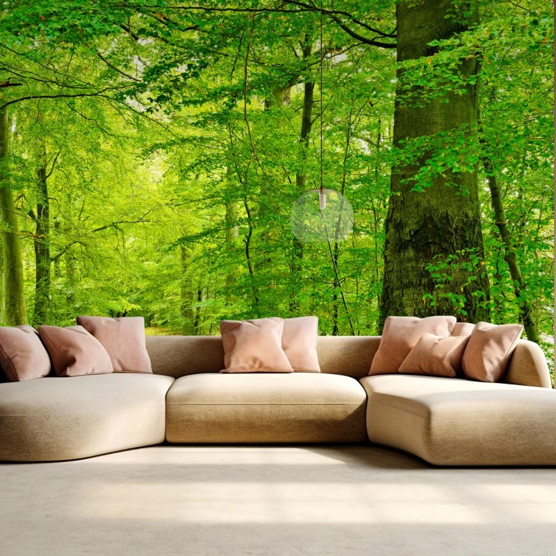 Forêts – Wallnifity®