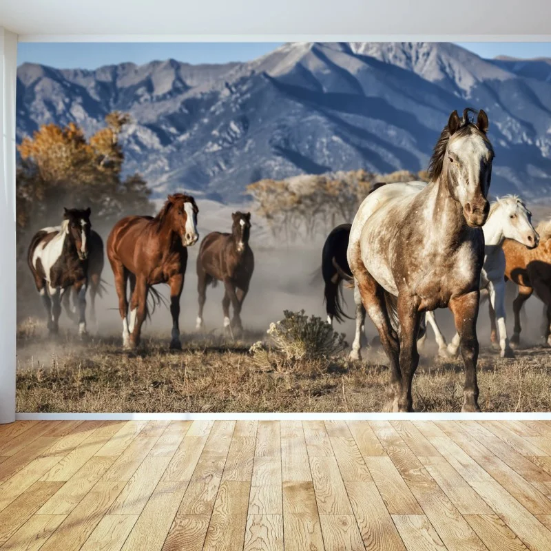 Nature – Wallnifity®