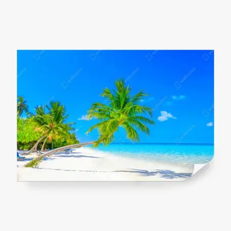 Papier peint évasion tropicale aux Maldives – Wallnifity®