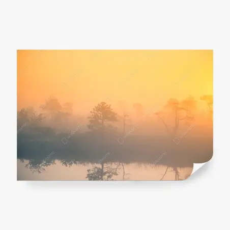 Papier peint brume d'aube sur le marais – Wallnifity®
