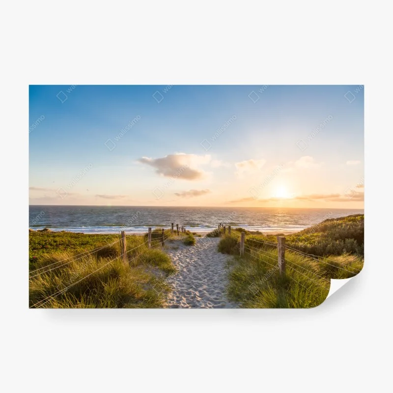 Papier peint chemin vers l'océan au coucher du soleil – Wallnifity® Papier peint chemin vers l'océan au coucher du soleil – Wallnifity®
