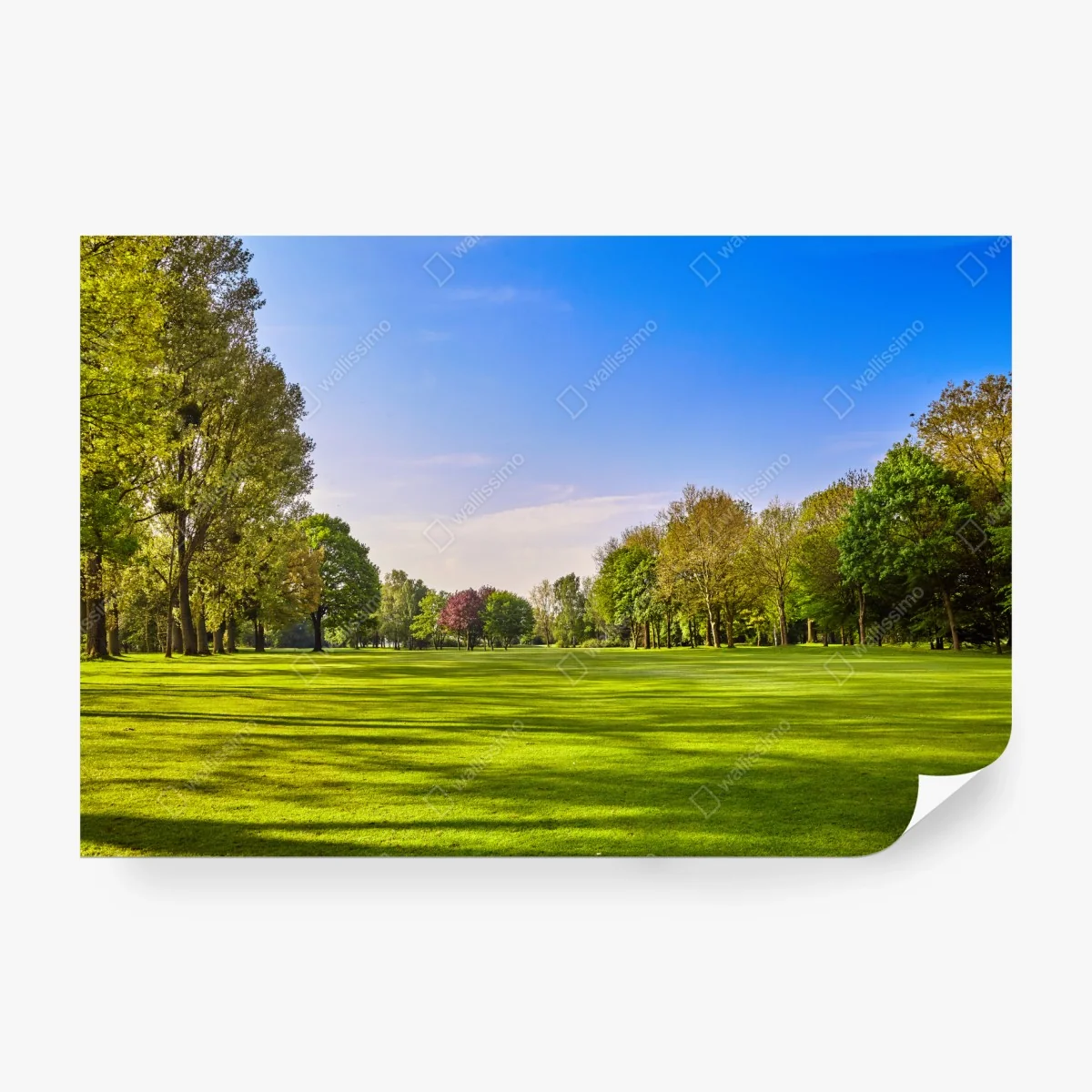 Papier peint panorama de parc ensoleillé – Wallnifity® Papier peint panorama de parc ensoleillé – Wallnifity®