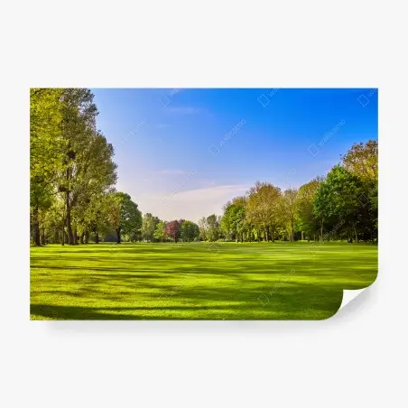 Papier peint panorama de parc ensoleillé – Wallnifity®