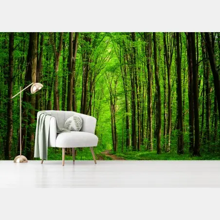 Papier peint allée forestière verdoyante – Wallnifity®