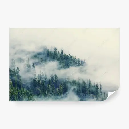Papier peint forêt brumeuse enchantée – Wallnifity®