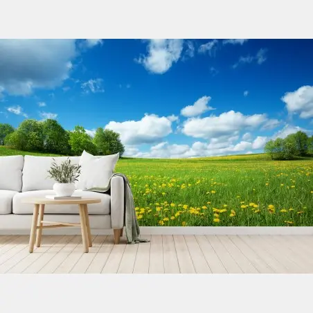 Papier peint prairie de pissenlits sous ciel bleu – Wallnifity®