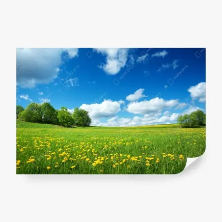 Papier peint prairie de pissenlits sous ciel bleu – Wallnifity®