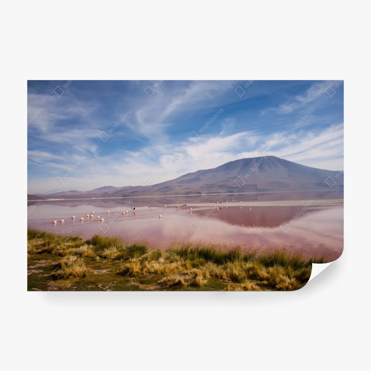 Papier peint lagune rose des Andes en Bolivie – Wallnifity® Papier peint lagune rose des Andes en Bolivie – Wallnifity®