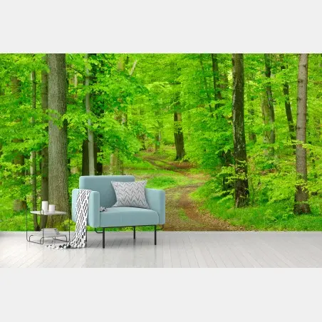 Papier peint sentier verdoyant en forêt – Wallnifity®