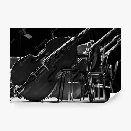 Papier peint silhouettes de contrebasses sur scène en noir et blanc – Wallnifity®