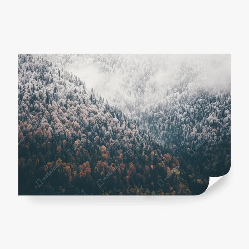 Papier peint paysage forestier automnal et enneigé – Wallnifity® Papier peint paysage forestier automnal et enneigé – Wallnifity®
