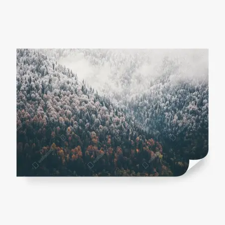 Papier peint paysage forestier automnal et enneigé – Wallnifity®