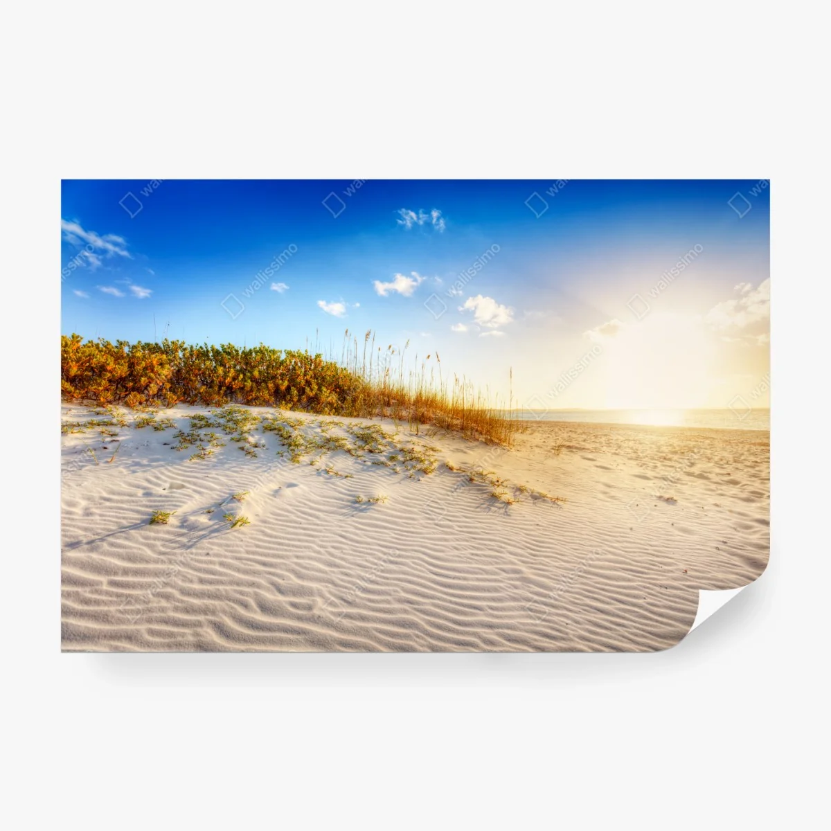 Papier peint coucher de soleil sur les dunes de Grace Bay – Wallnifity® Papier peint coucher de soleil sur les dunes de Grace Bay – Wallnifity®