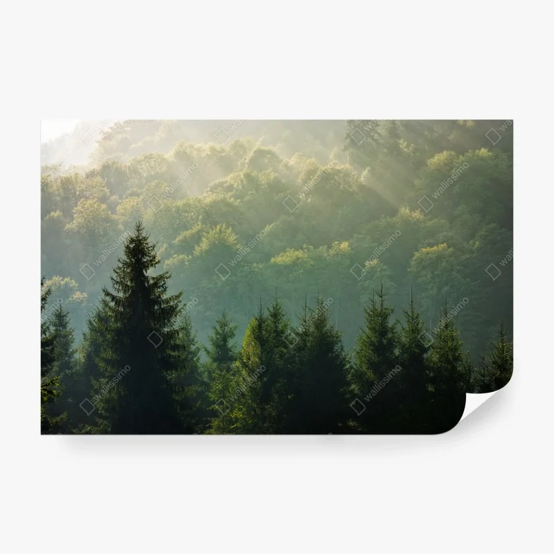 Papier peint brume matinale sur les Carpates – Wallnifity® Papier peint brume matinale sur les Carpates – Wallnifity®