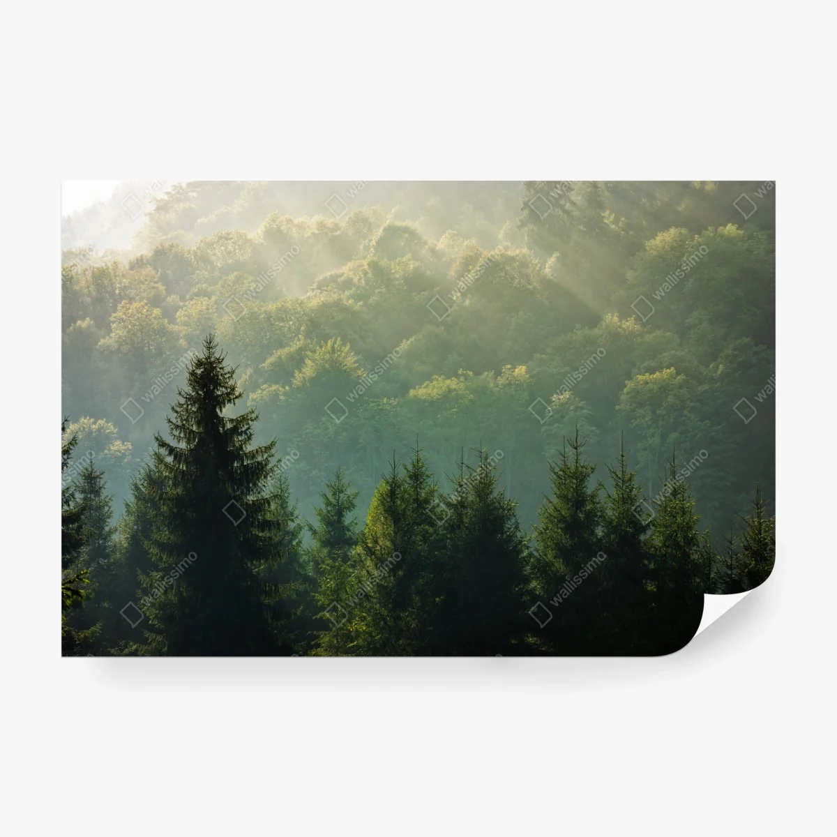 Papier peint brume matinale sur les Carpates – Wallnifity® Papier peint brume matinale sur les Carpates – Wallnifity®
