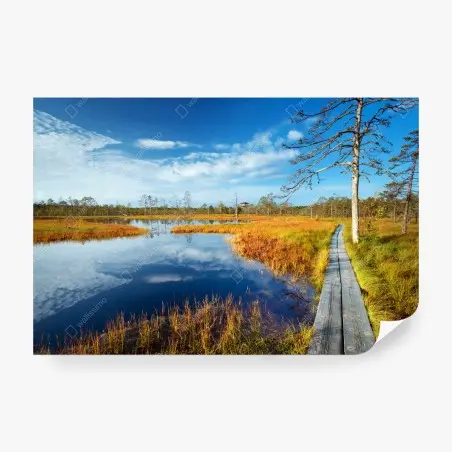 Papier peint passerelle au bord du marais automnal – Wallnifity®